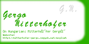 gergo mitterhofer business card